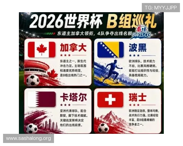 加拿大VS波黑比赛详细战报及关键球员表现分析